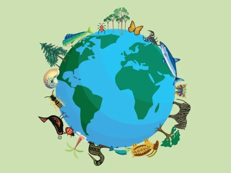 Engagement für die Umwelt Umweltengagement: Hersteller individueller Golftaschen