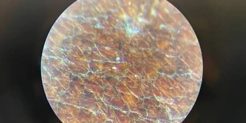 How Waxed Leather Behaves