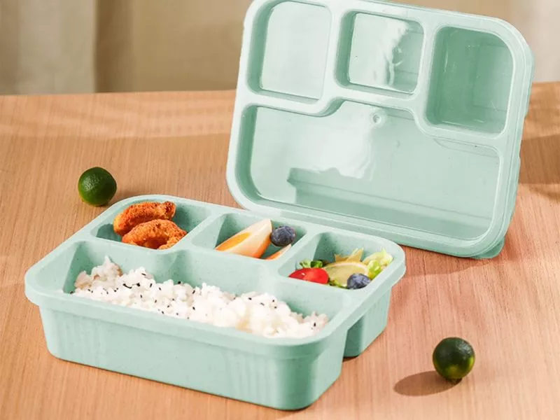 Bento Box Container